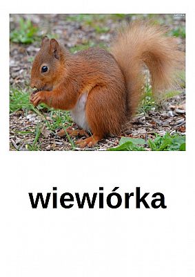  Grafika #4: NAUCZANIE ZDALNE - CZWARTEK 15.10.2020