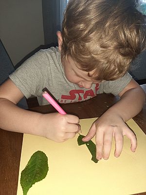  Grafika #21: NAUCZANIE ZDALNE - PONIEDZIAŁEK 12.10.20