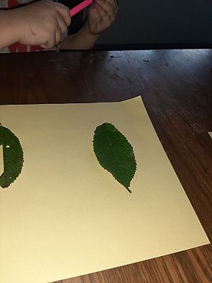  Grafika #20: NAUCZANIE ZDALNE - PONIEDZIAŁEK 12.10.20