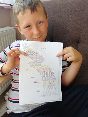  Grafika #53: Dzieci pracują w domu (cz. 9)