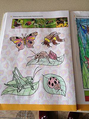  Grafika #42: Dzieci pracują w domu i nie tylko :) (cz. 6)