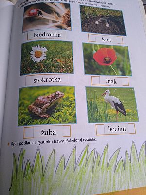  Grafika #85: Dzieci pracują w domu i nie tylko :) (cz. 6)