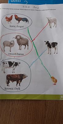  Grafika #33: Dzieci pracują w domu (cz. 2)