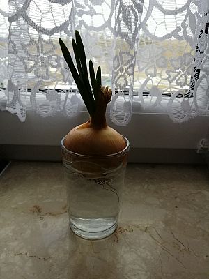  Grafika #25: Dzieci pracują w domu